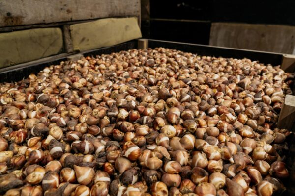 Agratechniek-129-min