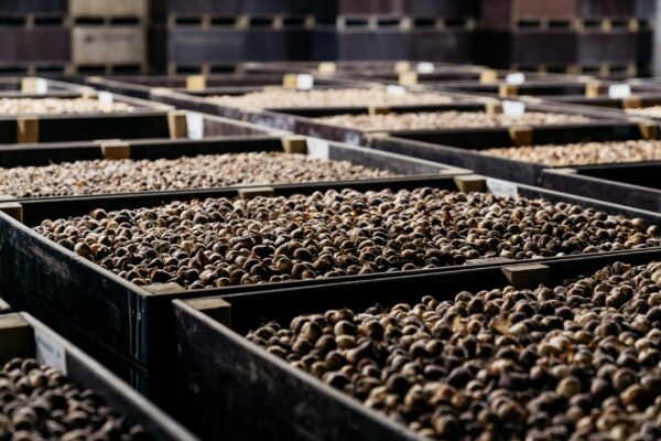 Agratechniek-137-min